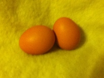 Ms. Chicks Eggs